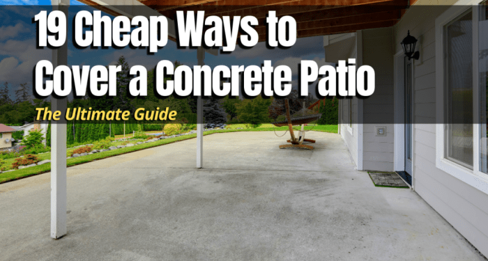 19 Cheap Ways to Cover a Concrete Patio - The Backyard Pros