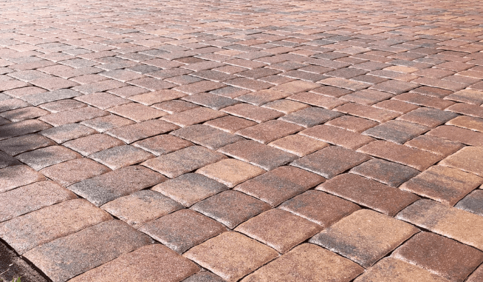 Paver Sealing Near Me - Bird Dog Power Wash and Roof Cleaning